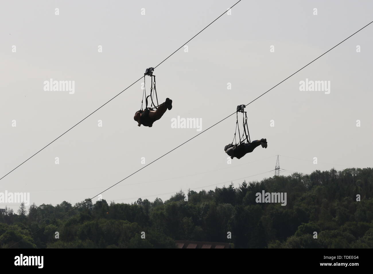 Talsperre Wendefurth, Deutschland. 15 Juni, 2019. Mit dem Mega Zipline Besucher der Rappbodetalsperre Rennen 1000 m ins Tal. Mit Geschwindigkeiten von bis zu 85 Kilometern pro Stunde, dieses Freizeitvergnügen bietet Abkühlung bei sommerlichen Temperaturen. Credit: Matthias Bein/dpa-Zentralbild/ZB/dpa/Alamy leben Nachrichten Stockfoto