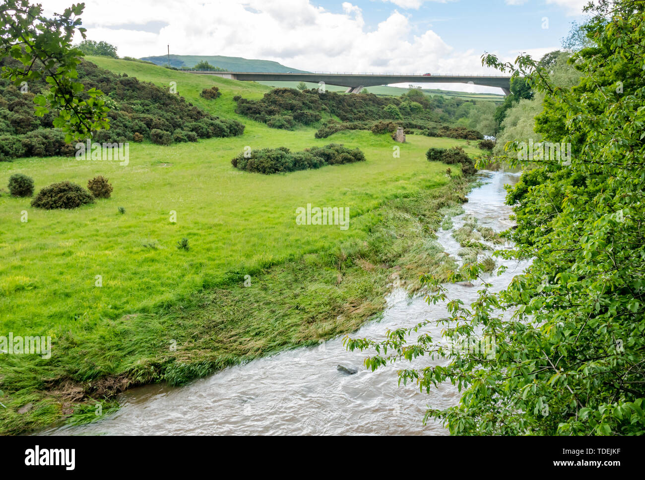 Fluss Tyne Pfad, East Lothian, Schottland, Vereinigtes Königreich, 15. Juni 2019. UK Wetter: Tyne Fluss von oben mit Anzeichen von Schäden durch Hochwasser nach Starkregen und einen geschwollenen Fluss mit zerquetschten Vegetation entlang des Flussufers Stockfoto