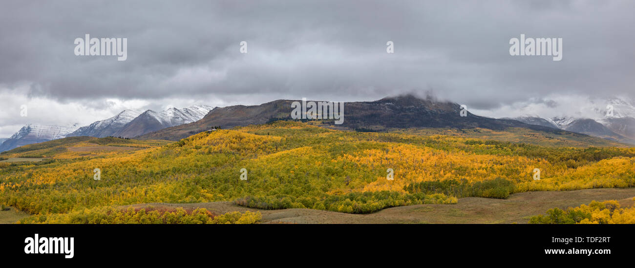 Herbstfarben im Waterton Lakes Nationalpark, Alberta, Kanada Stockfoto