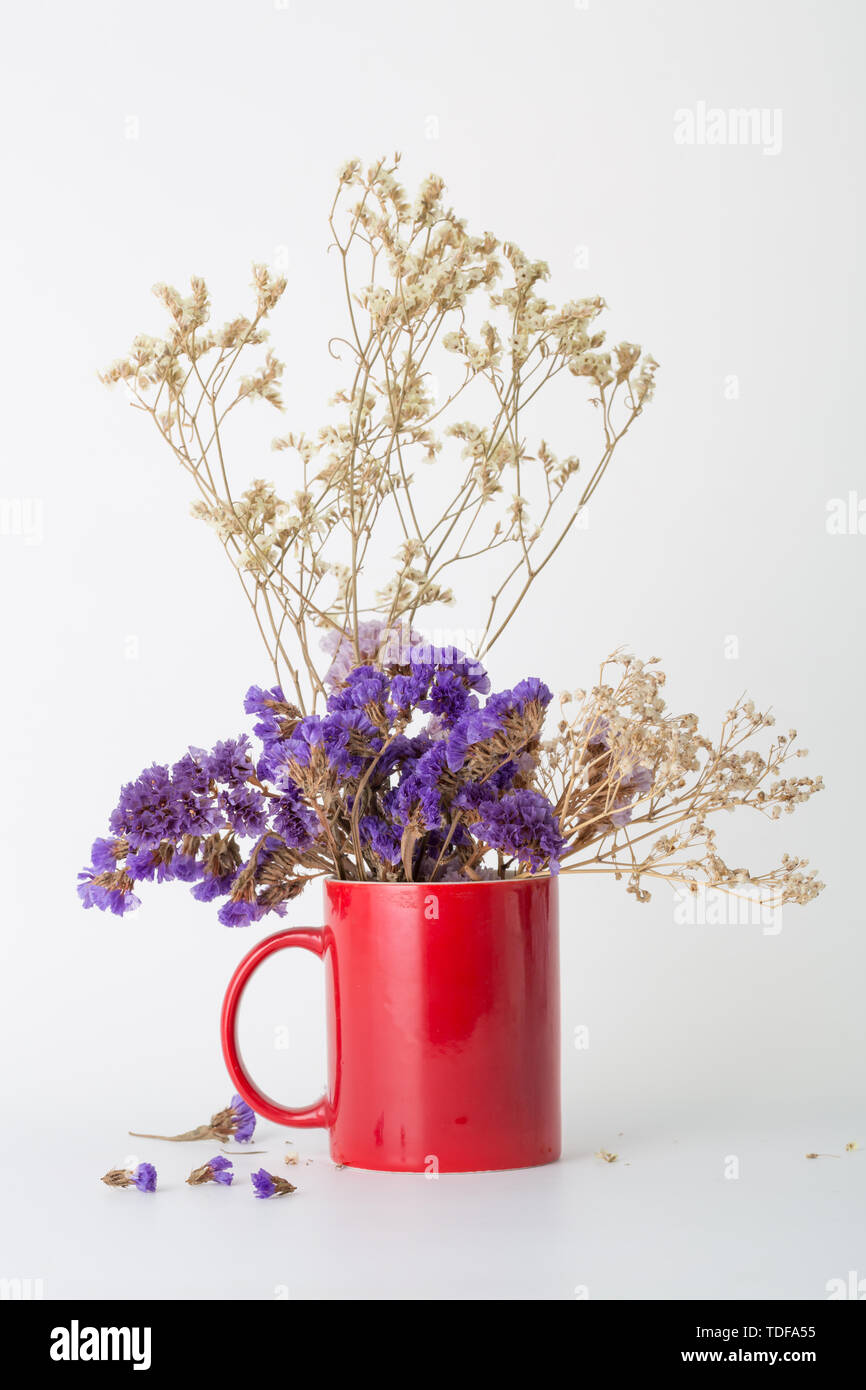 Vergessen Sie nicht mir und die Sterne, trockene Blumen. Stockfoto