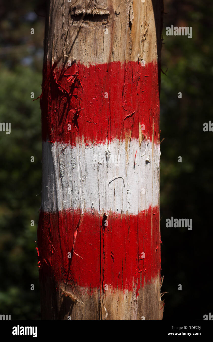 Wegweiser, direktionale Zeichen mit roten und weißen Streifen im Wald Stockfoto