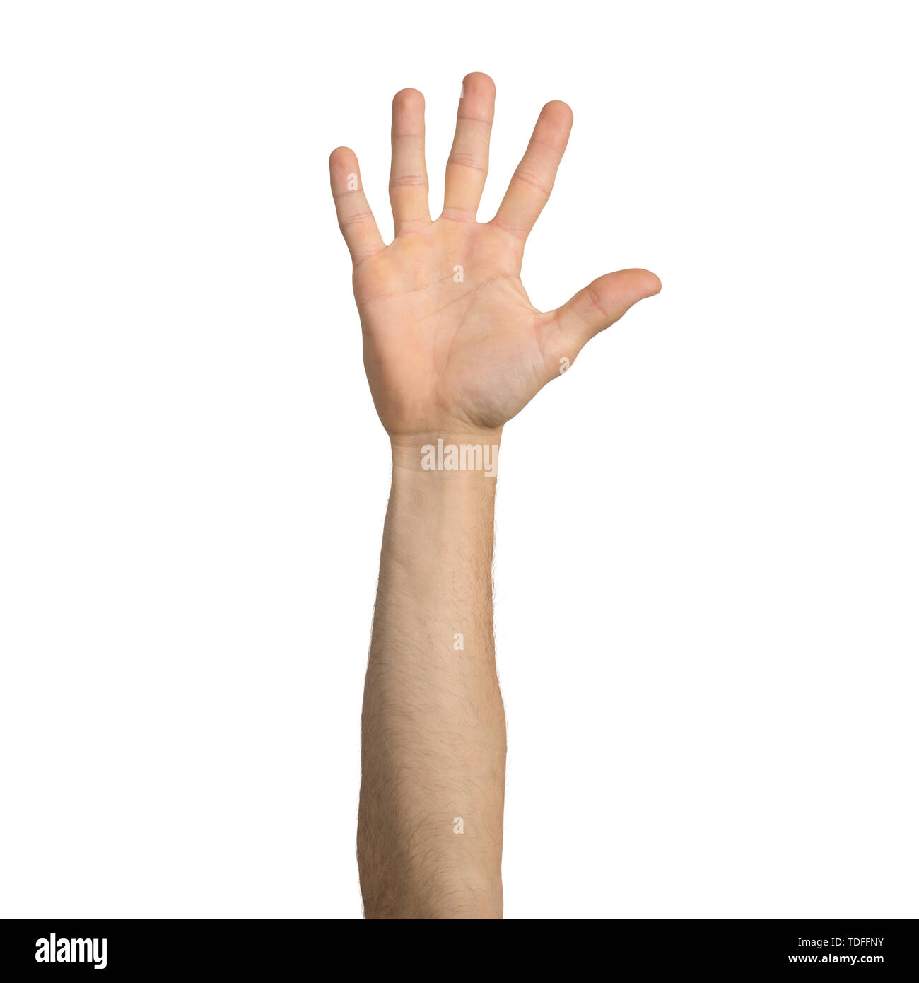 Erwachsene mann Hand zeigen, öffnen Sie Palm Geste. Teilnahme und Stimmabgabe unterzeichnen. Menschliche Hand gestikulierend Zeichen auf weißem Hintergrund. Männliche erhobenen Arm prese Stockfoto