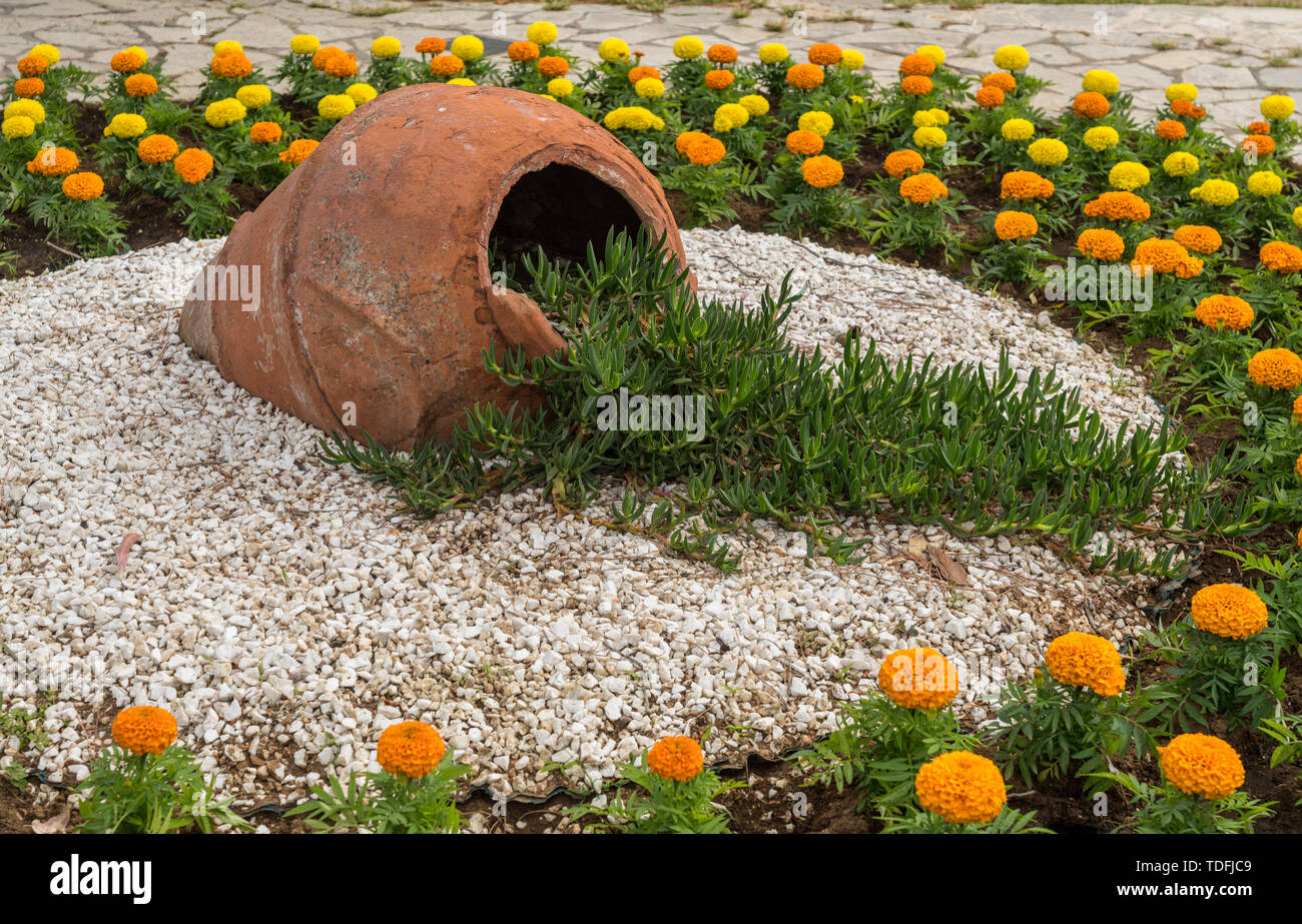 Chrysanthemen und Keramik Urne im Ziergarten Stockfoto