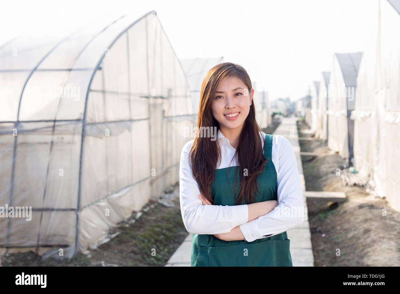 Junge schöne asiatische Frau arbeitet im grünen Feld Stockfoto