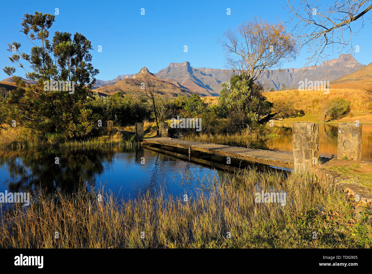 Malerische Teich vor dem Hintergrund der Drakensberge, Royal Natal National Park, Südafrika Stockfoto