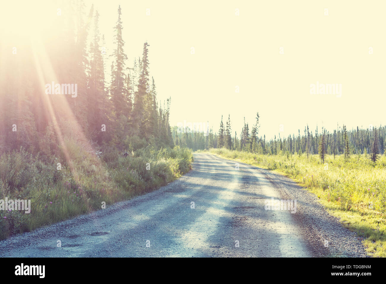 Schotterweg in den Wald von Alaskan Berge, Sommer Saison. Stockfoto