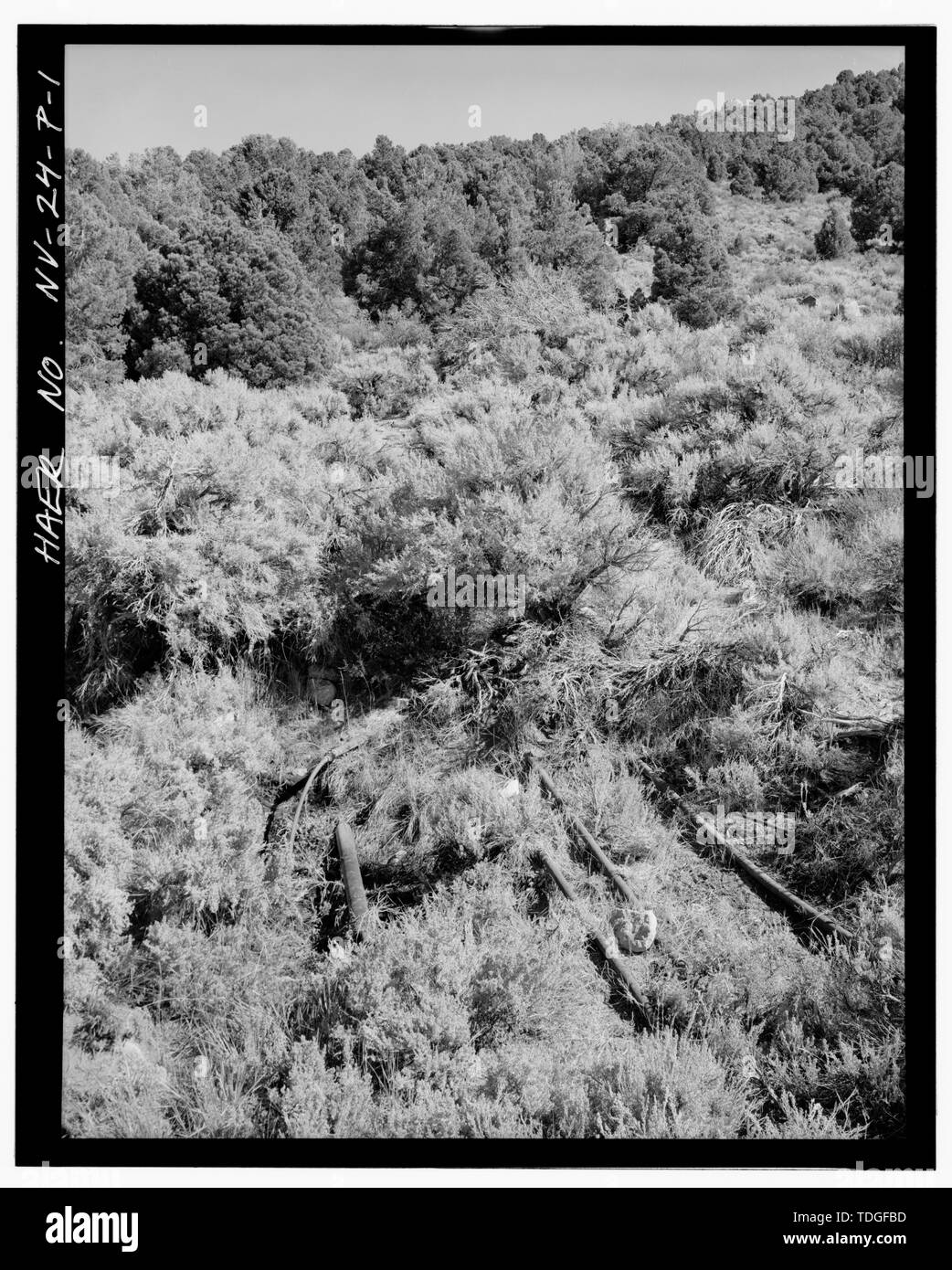 Nordosten BLICK AUF FEDER SITE-Juniata Mühlengebäude, Feder, 22,5 Meilen südwestlich von Hawthorne, zwischen Aurora Krater und Aurora Peak, Hawthorne, Mineral County, NV Stockfoto