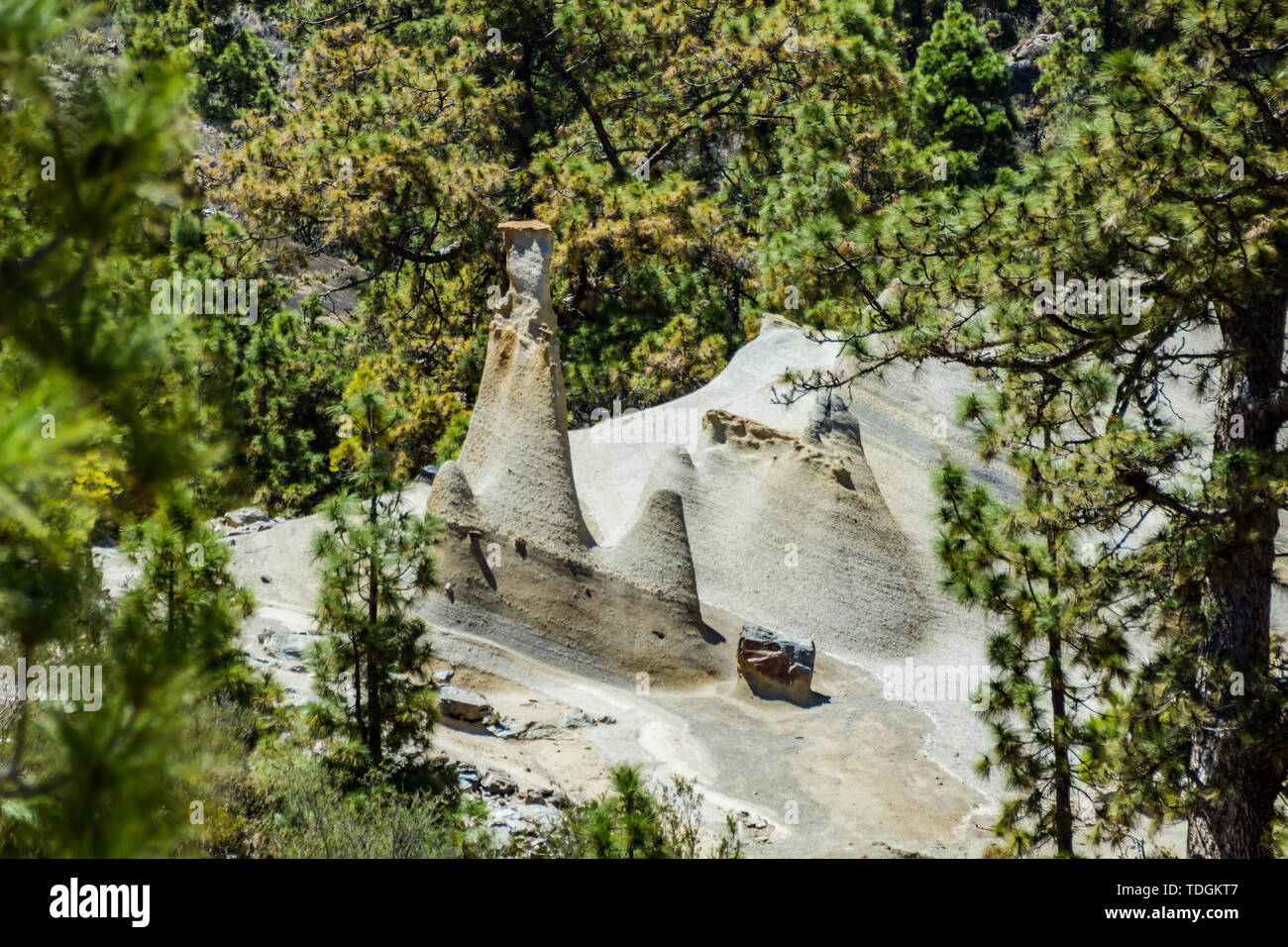 Erstaunlich Mondlandschaft mit fantastischen Felsformationen Paisaje Lunar. Kanarische Kiefernwald, klaren blauen Himmel. Teneriffa, Kanarische Inseln, Spanien. Stockfoto