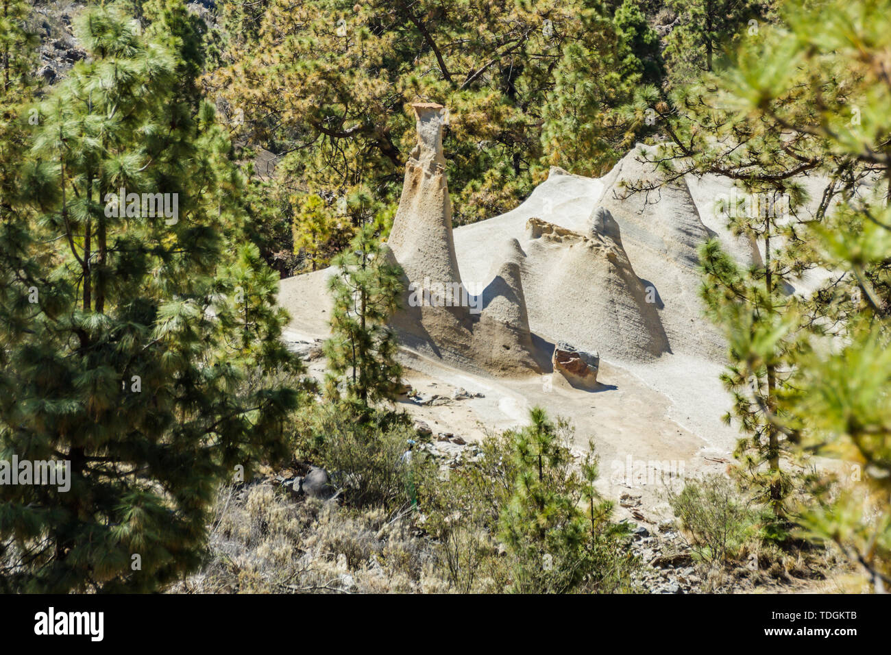 Erstaunlich Mondlandschaft mit fantastischen Felsformationen Paisaje Lunar. Kanarische Kiefernwald, klaren blauen Himmel. Teneriffa, Kanarische Inseln, Spanien. Stockfoto