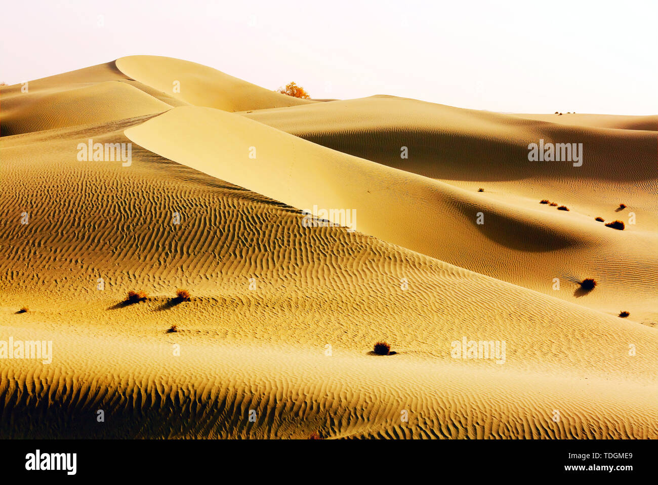 Komplexe Menschen. Stockfoto