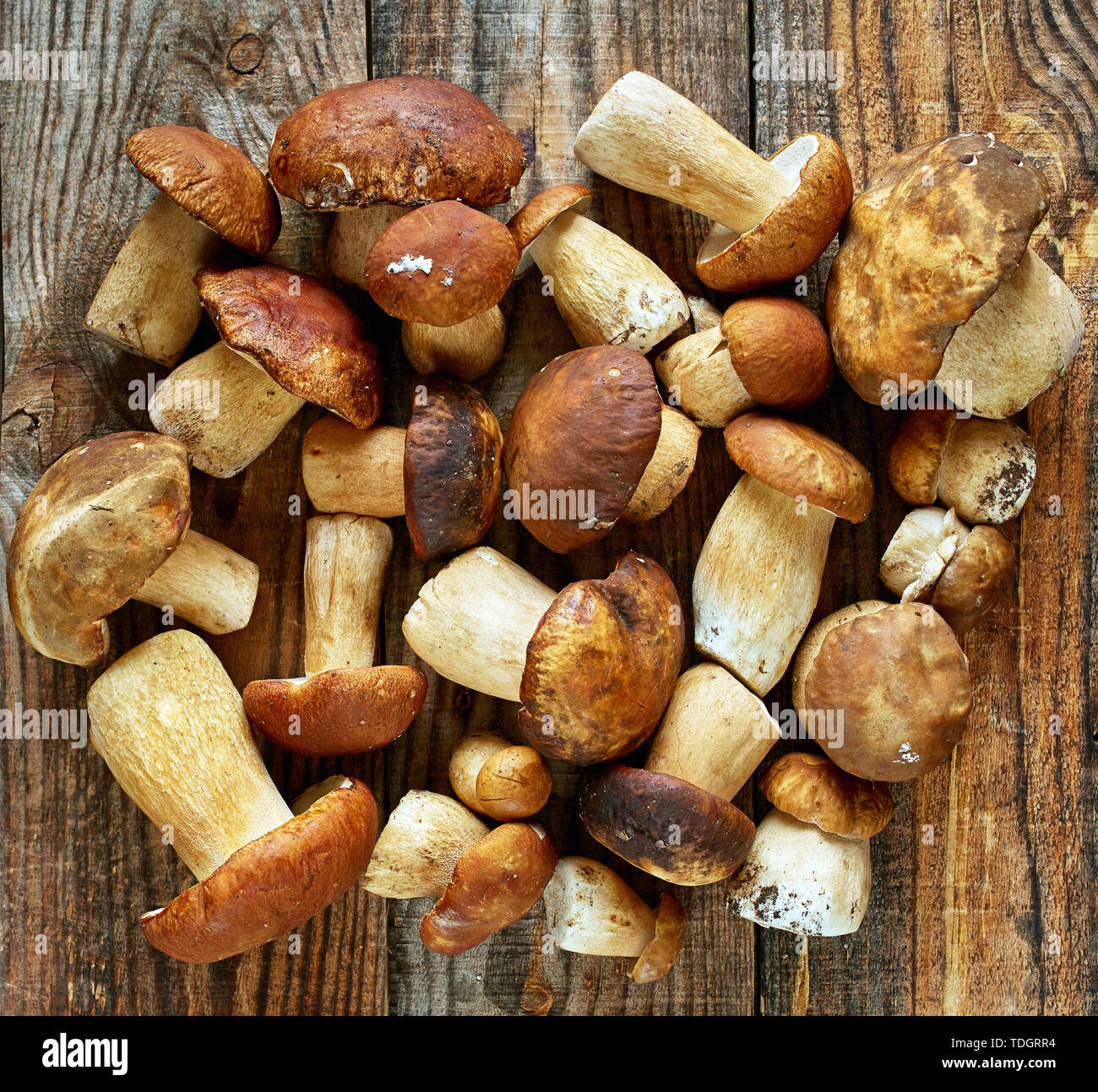 Steinpilze auf einem Holzbrett, fertig gekocht zu werden Stockfoto