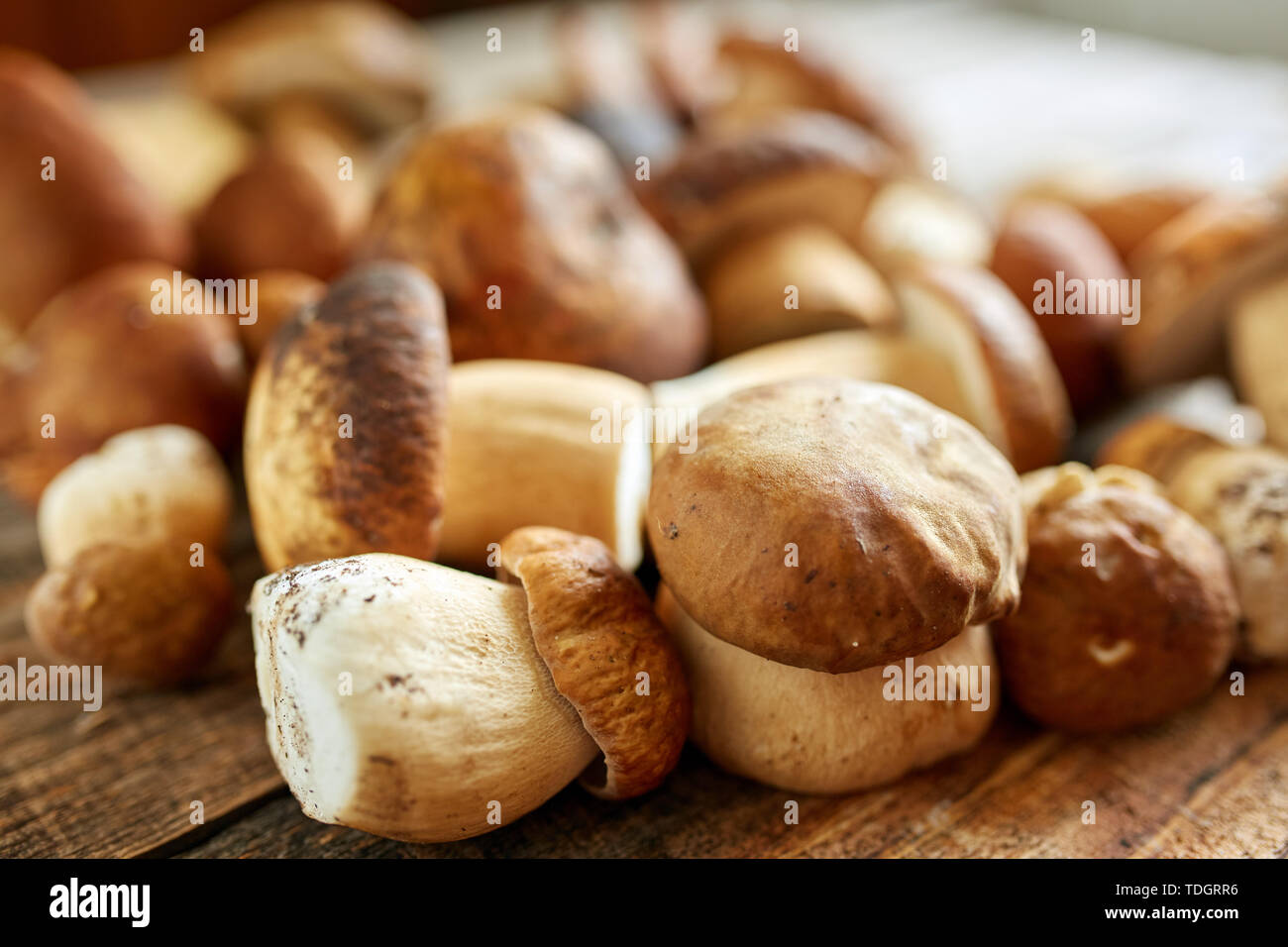 Steinpilze auf einem Holzbrett, fertig gekocht zu werden Stockfoto