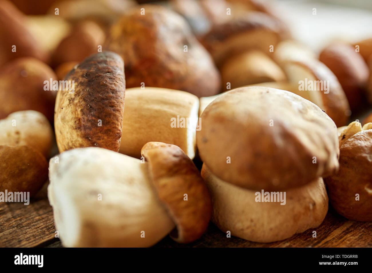 Steinpilze auf einem Holzbrett, fertig gekocht zu werden Stockfoto