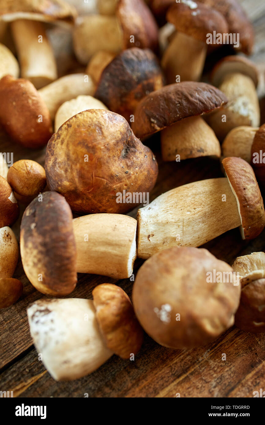 Steinpilze auf einem Holzbrett, fertig gekocht zu werden Stockfoto