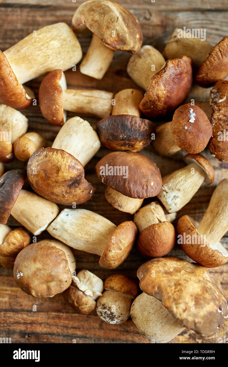 Steinpilze auf einem Holzbrett, fertig gekocht zu werden Stockfoto