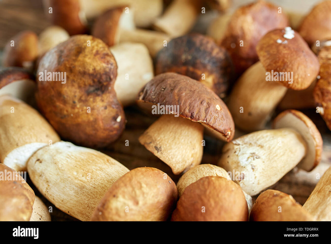 Steinpilze auf einem Holzbrett, fertig gekocht zu werden Stockfoto