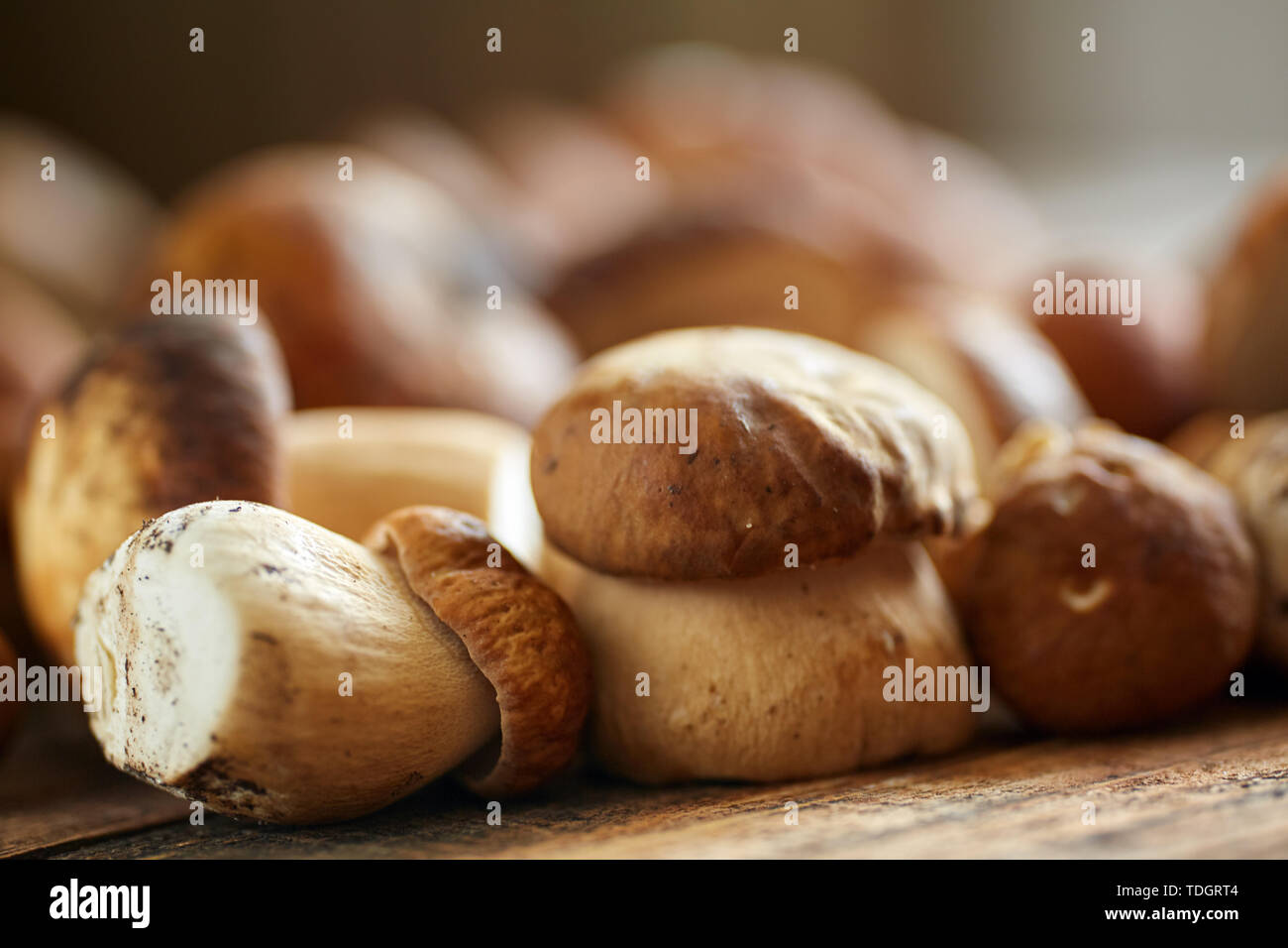 Steinpilze auf einem Holzbrett, fertig gekocht zu werden Stockfoto