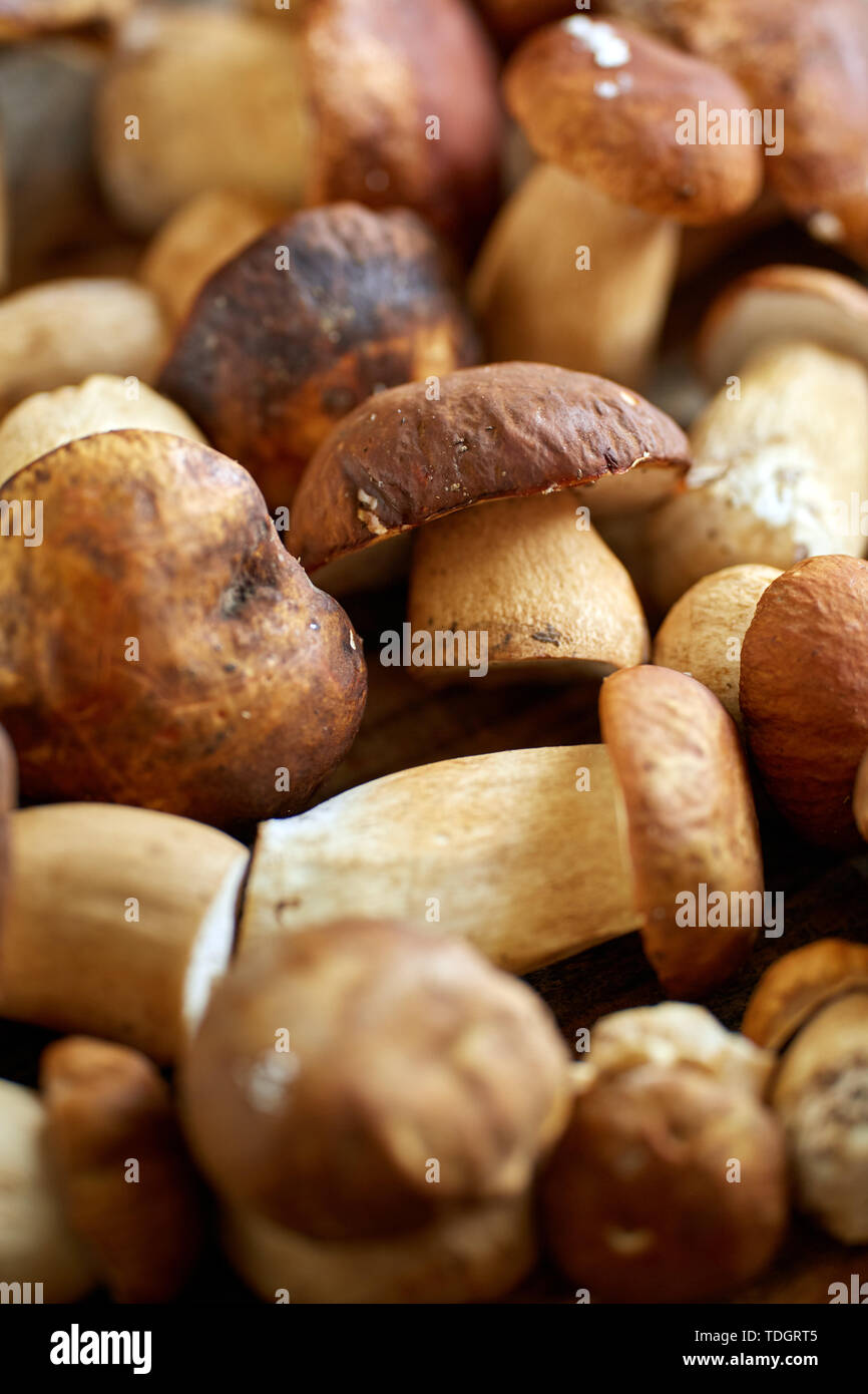 Steinpilze auf einem Holzbrett, fertig gekocht zu werden Stockfoto