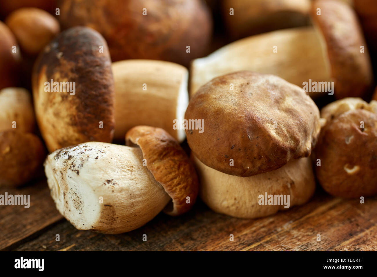 Steinpilze auf einem Holzbrett, fertig gekocht zu werden Stockfoto