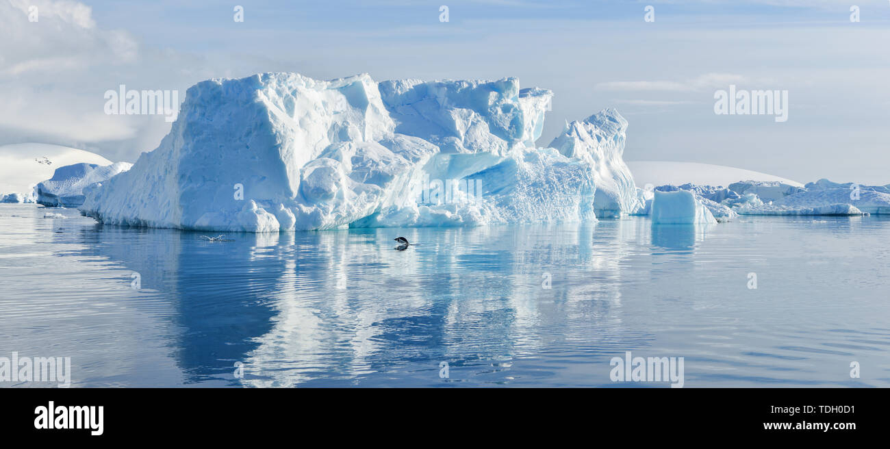 Ein blauer Eisberg schwimmt auf der Oberfläche des Wassers. Stockfoto