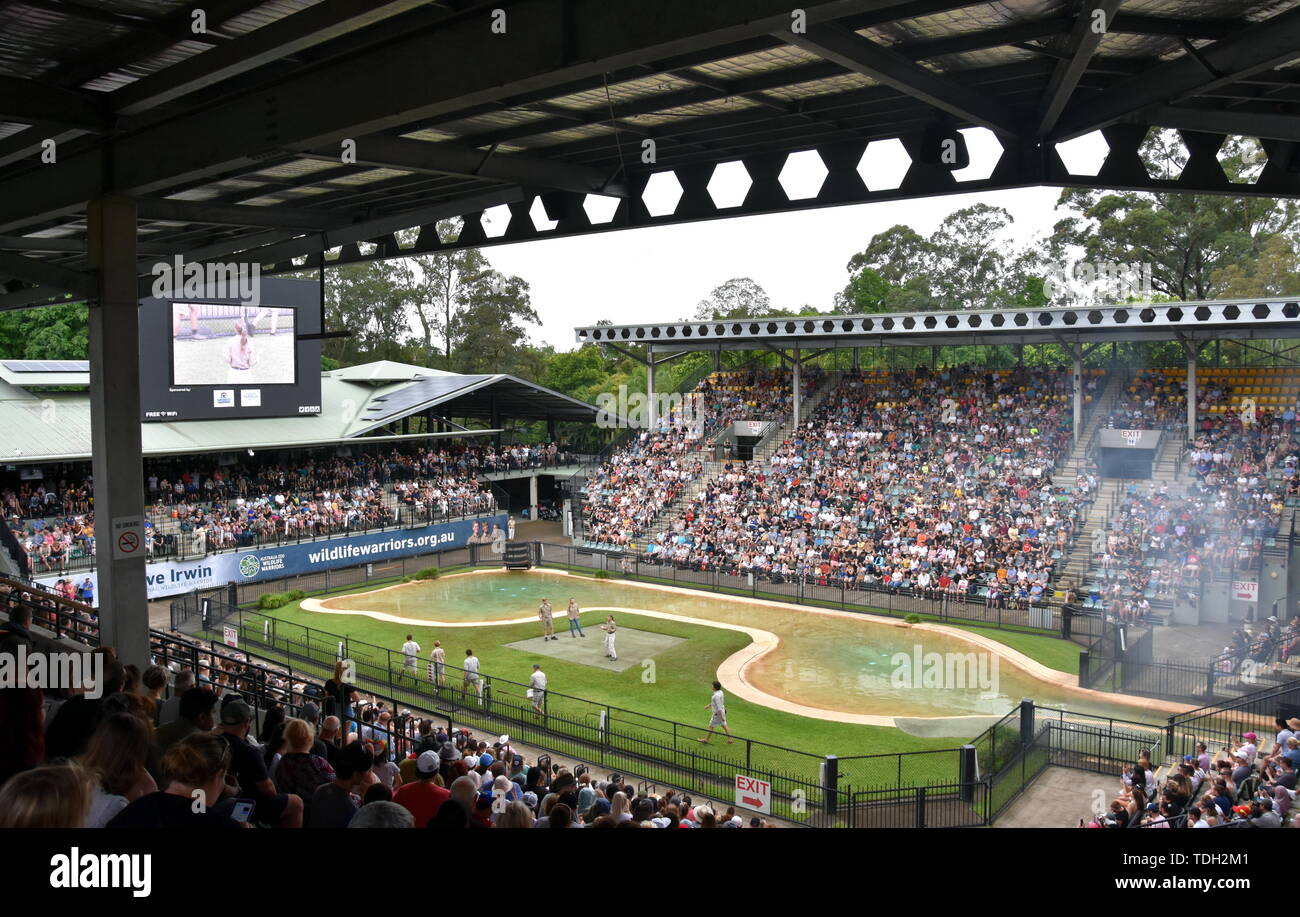 Beerwah, Australien - Apr 22, 2019. Krokodil Show im Crocoseum von Terri, Bindi und Robert Irwin. Schlange, Vogel und Krokodil zeigt durchgeführt werden. Stockfoto