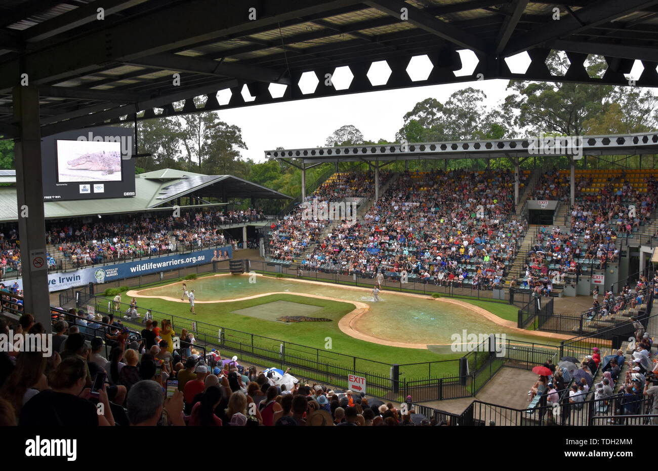 Beerwah, Australien - Apr 22, 2019. Krokodil Show im Crocoseum von Terri, Bindi und Robert Irwin. Schlange, Vogel und Krokodil zeigt durchgeführt werden. Stockfoto