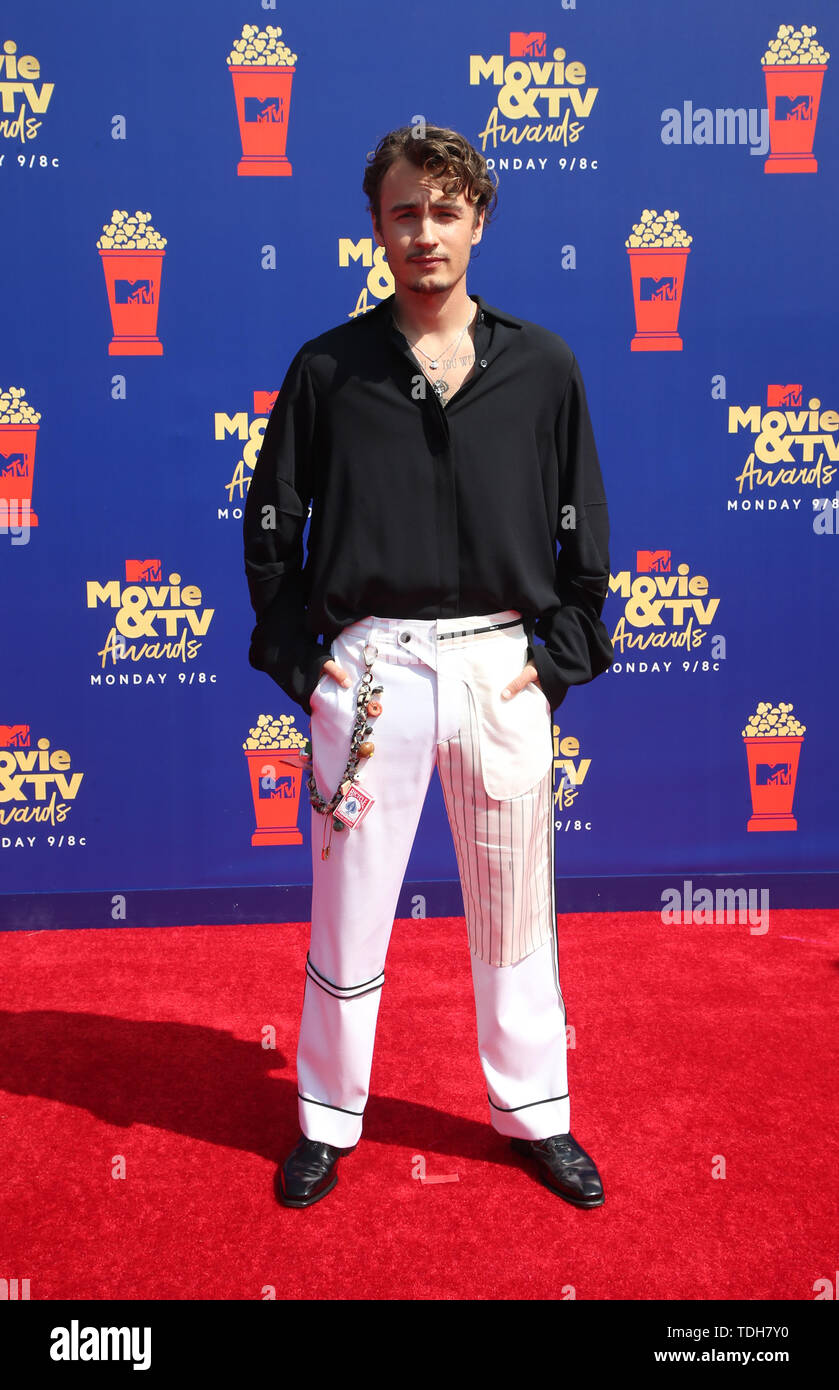 Santa Monica, Ca. 15 Juni, 2019. Brandon Lee, an der 2019 MTV Movie & TV Awards durch M&M'S, Mountain Dew, Taco Bell® gesponsert, und Wahrheit bei Barker Hangar in Santa Monica, Kalifornien am 15. Juni 2019. Credit: Faye Sadou/Medien Punch/Alamy leben Nachrichten Stockfoto