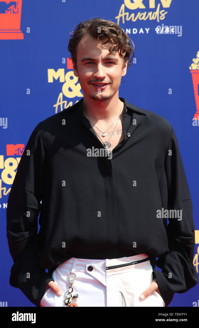 SANTA MONICA, CA - 15. Juni: Brandon Lee, an der 2019 MTV Movie & TV Awards durch M&M'S, Mountain Dew, Taco Bell® gesponsert, und Wahrheit bei Barker Hangar in Santa Monica, Kalifornien am 15. Juni 2019. Credit: Faye Sadou/MediaPunch Stockfoto