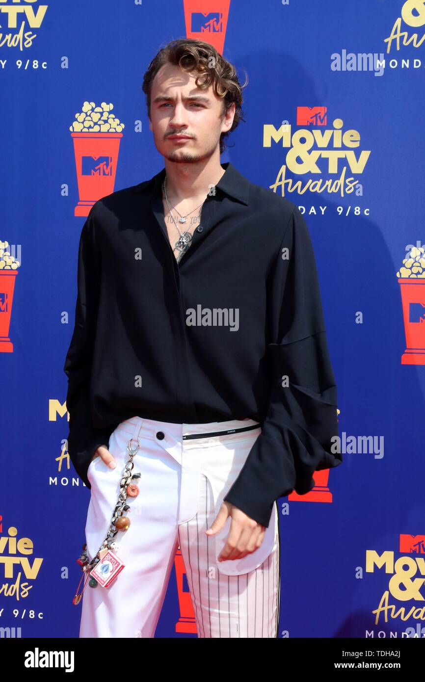 Los Angeles, CA, USA. 15 Juni, 2019. LOS ANGELES - 15.Juni: Brandon Thomas Lee im 2019 MTV Movie & TV Auszeichnungen bei den Barker Hangar am 15. Juni 2019 in Santa Monica, CA bei der Ankunft für 2019 MTV Movie und TV Awards - Teil 2, Barker Hangar, Los Angeles, CA 15 Juni, 2019. Credit: Priscilla Grant/Everett Collection/Alamy leben Nachrichten Stockfoto