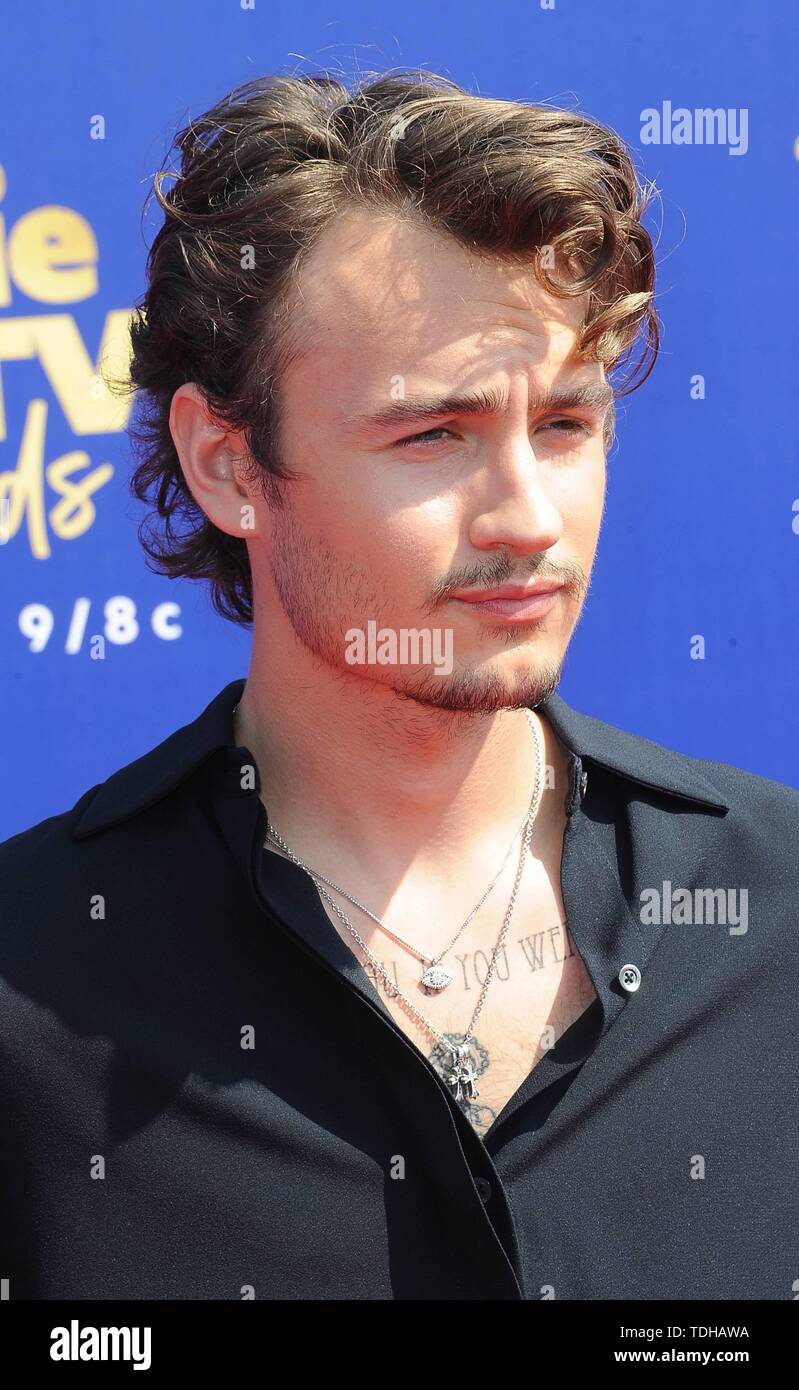 Los Angeles, USA. 16. Juni 2019. Brandon Thomas Lee besucht die 2019 MTV Movie & TV Auszeichnungen bei Barker Hangar in Los Angeles, USA, am 15. Juni 2019. | Verwendung der weltweiten Kredit: dpa Picture alliance/Alamy leben Nachrichten Stockfoto