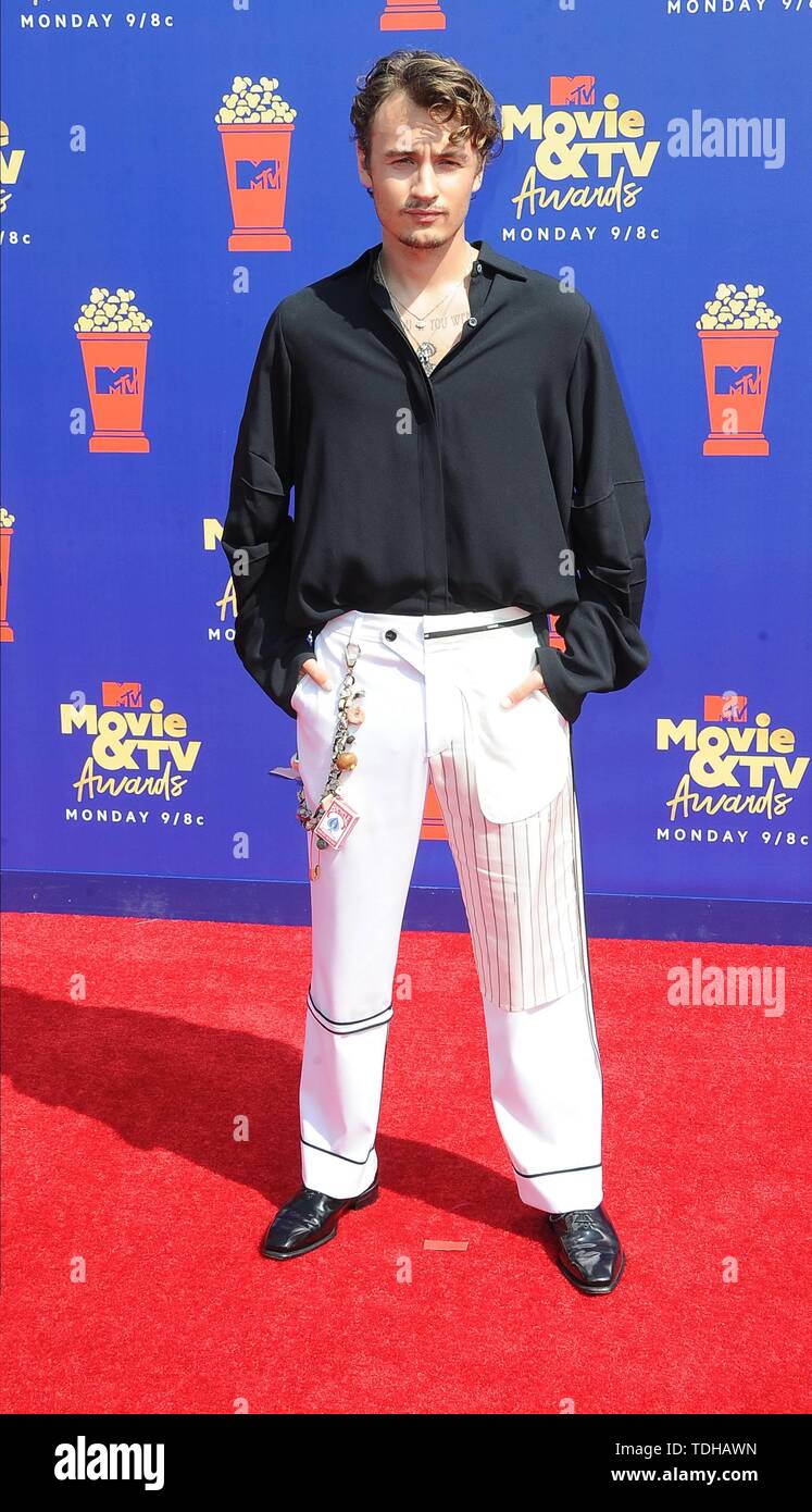 Los Angeles, USA. 16. Juni 2019. Brandon Thomas Lee besucht die 2019 MTV Movie & TV Auszeichnungen bei Barker Hangar in Los Angeles, USA, am 15. Juni 2019. | Verwendung der weltweiten Kredit: dpa Picture alliance/Alamy leben Nachrichten Stockfoto