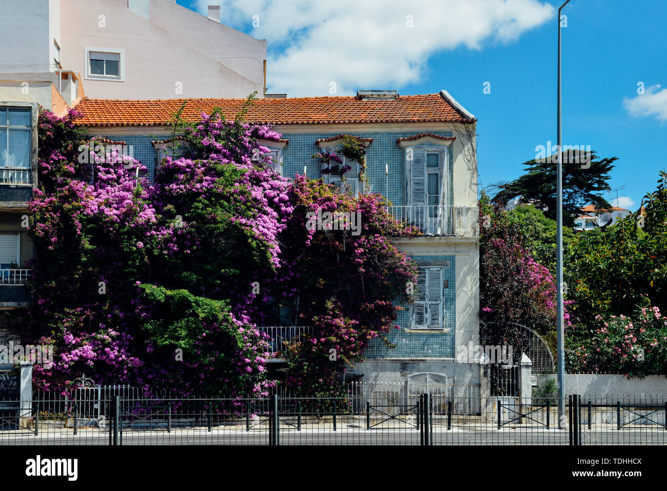 Lila Bougainvillea Blumen auf dem Balkon eines alten Lissabon Apartment Gebäude mit kaputten Rollläden Stockfoto