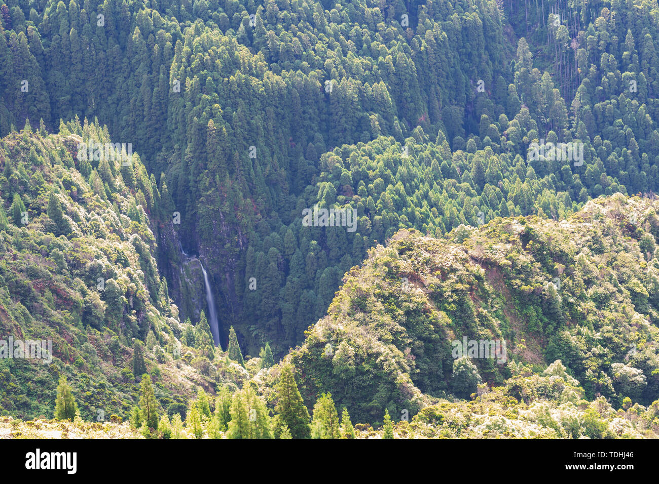 Versteckten Wasserfall auf den Azoren, Portugal Stockfoto