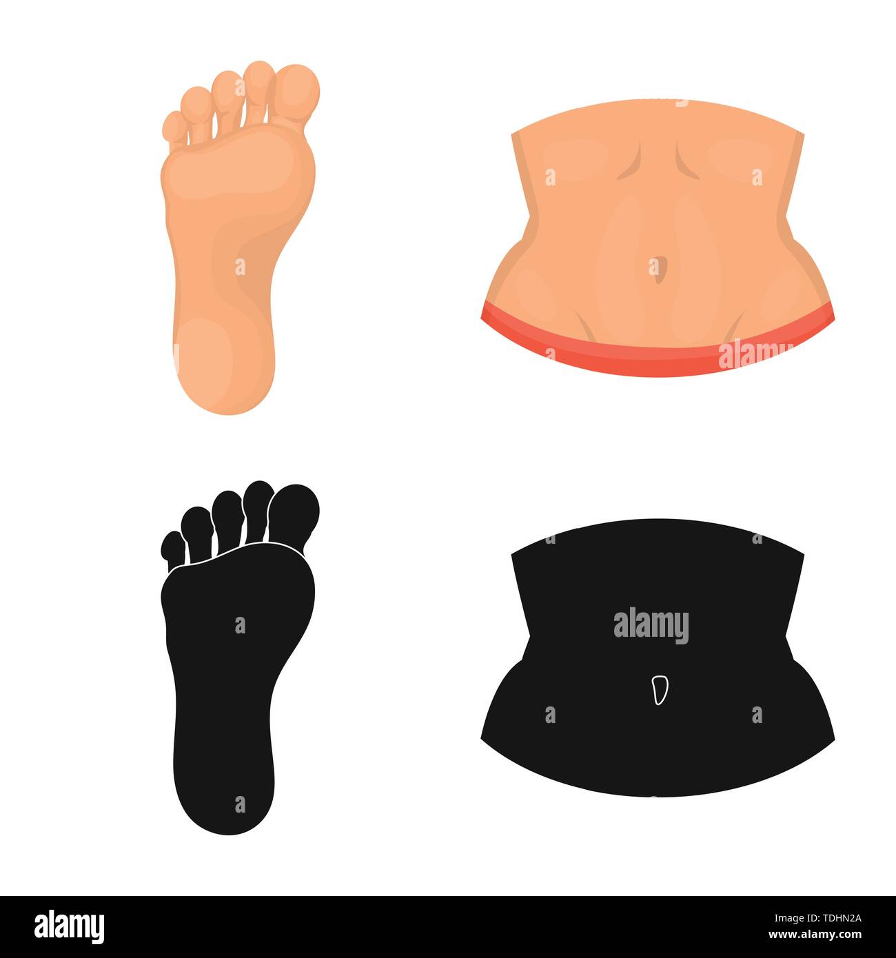 Vector Illustration von Körper und Teil anmelden. Sammlung von Körper ...