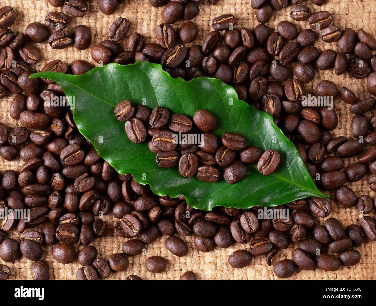 Geröstete Kaffeebohnen mit lassen auf Linin Sack Stockfoto
