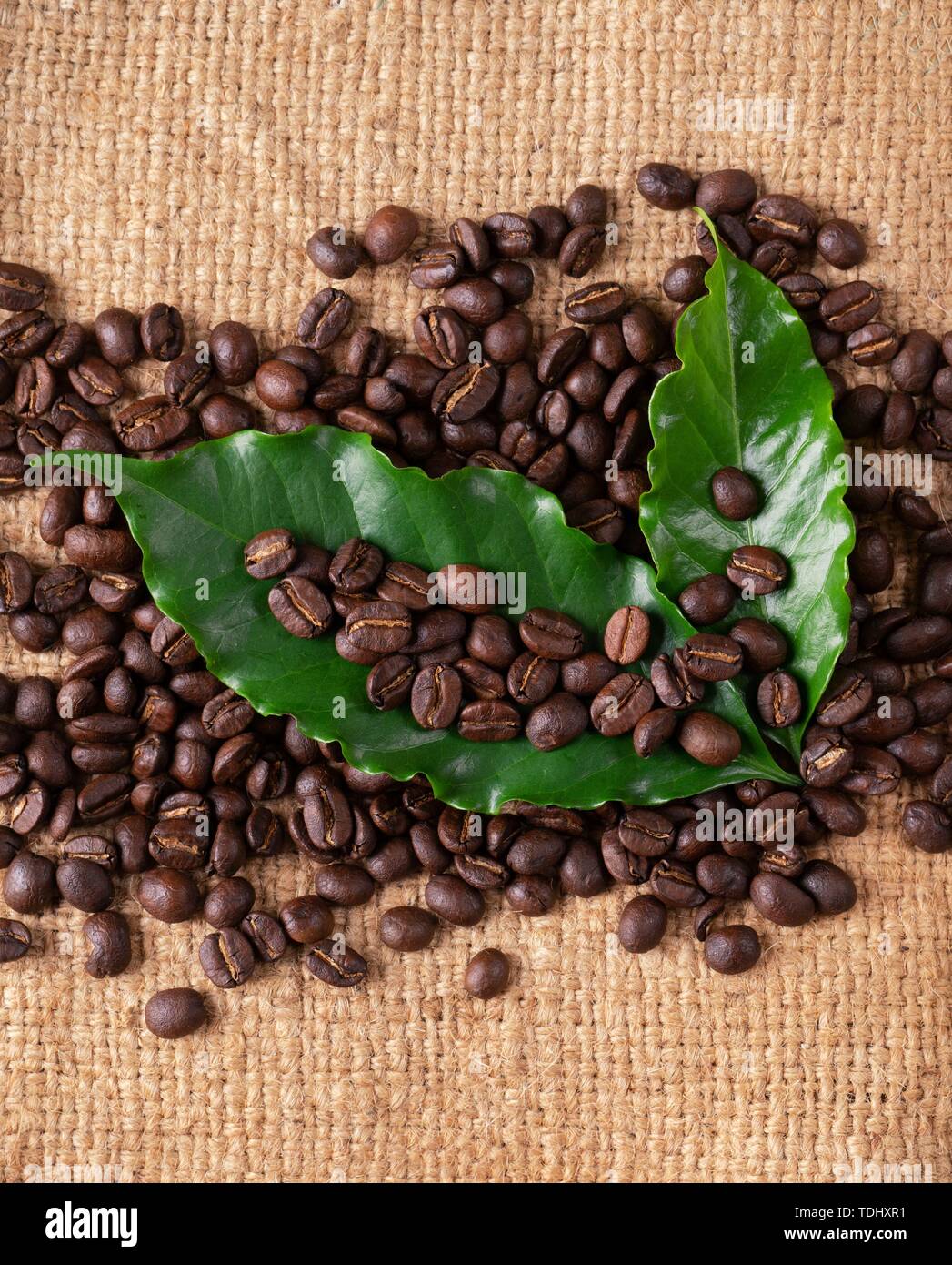 Geröstete Kaffeebohnen mit lassen auf Linin Sack Stockfoto
