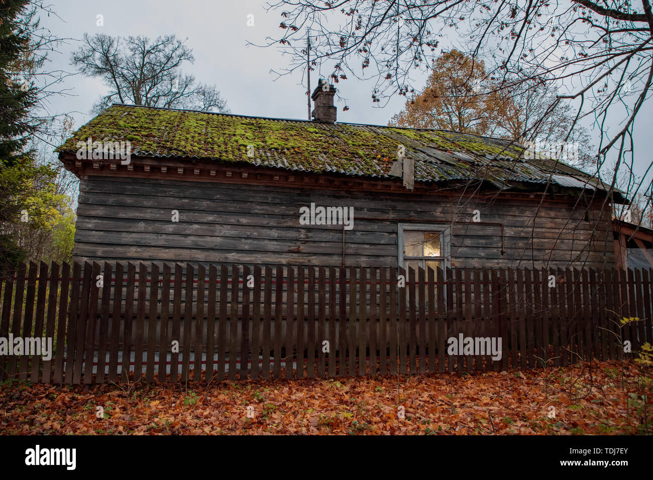 Alte Holzhaus im Wald im Herbst Zeit Stockfoto