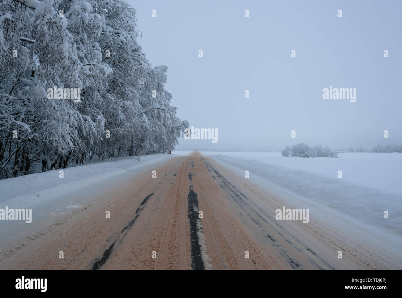 Kalt und Winter Landschaften mit Schnee in Russland Stockfoto