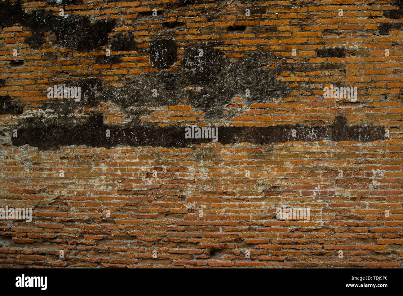 Textur der Steinmauer in der Tages- und Tageslicht Stockfoto