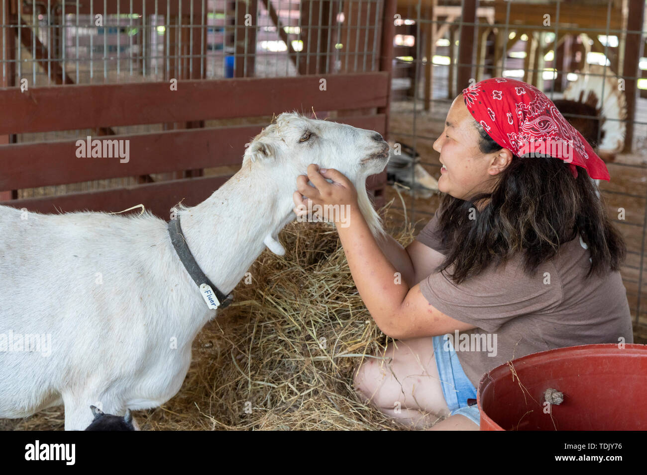 Perryville, Arkansas - Emily Koltes, Freiwilliger bei Heifer Ranch, verbringt einige Zeit mit einer Ziege. Heifer Ranch ist eine 1.200-acre pädagogische Ranch, sh Stockfoto