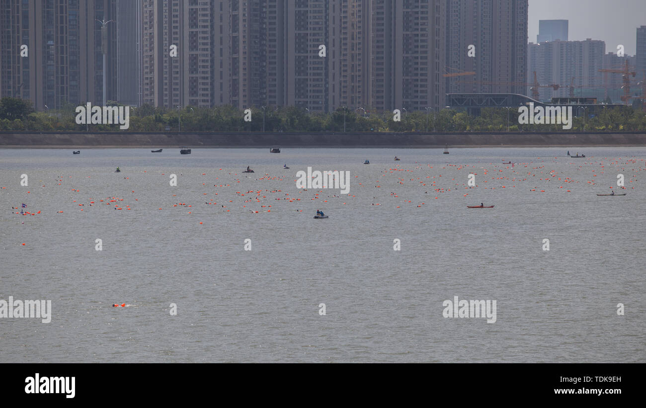 Am Morgen des 18. August die jährliche Cross-Fluss Qiantang Veranstaltung wurde auf der Flussseite des städtischen Balkon von qianjiang neue Stadt, Hangzhou City statt. Fast 1.500 Schwimmer wird inkarniert werden "Weiße Streifen in den Wellen", geschrieben in Ihren schwimmen Körperhaltung" bis die Flut Stand. "Der Geist. Stockfoto