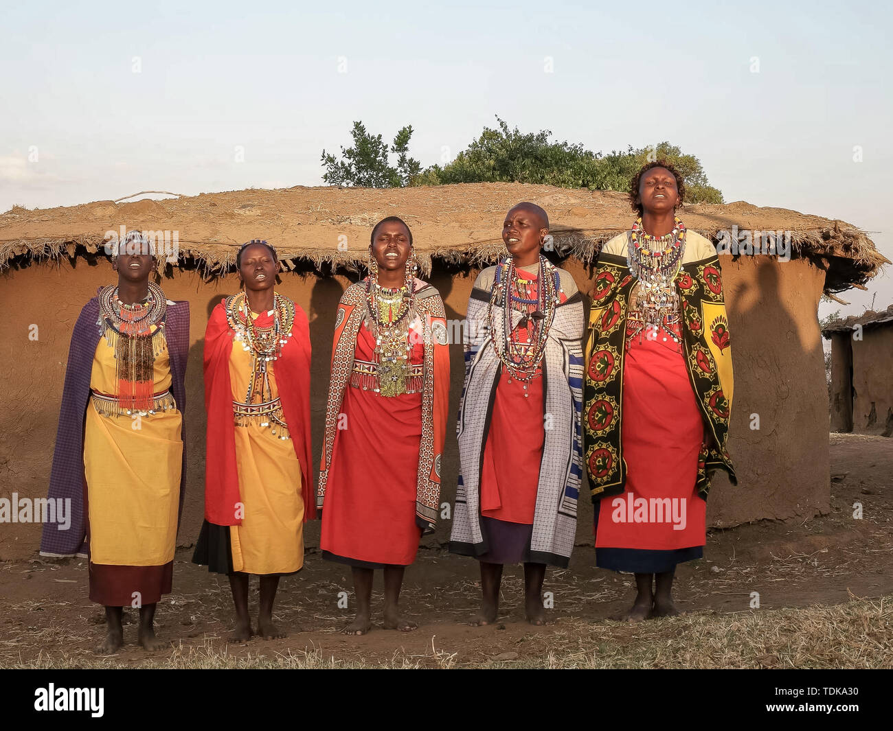 Weite Einstellung auf eine Gruppe von Massai Frauen singen in enkereri Dorf in der Nähe von Masai Mara, Kenia Stockfoto