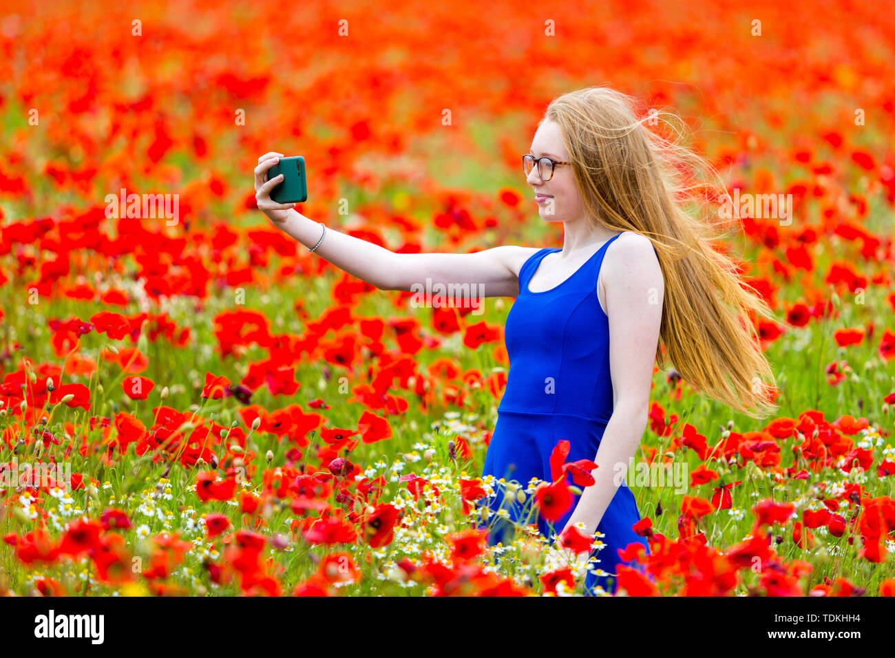 Junge Mädchen in einem Mohnfeld, Großbritannien Stockfoto