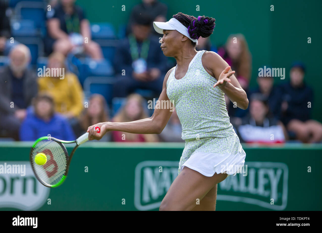 Priorat Club Edgbaston, Birmingham, Großbritannien. 17 Juni, 2019. WTA Natur Tal Classic Tennis Turnier; Nadiia Kichenok (UKR) Abigail Spears (USA) versus Harriet Dart (GBR) Venus Williams (USA); Venus Williams (USA) vorhand Credit: Aktion plus Sport/Alamy leben Nachrichten Stockfoto