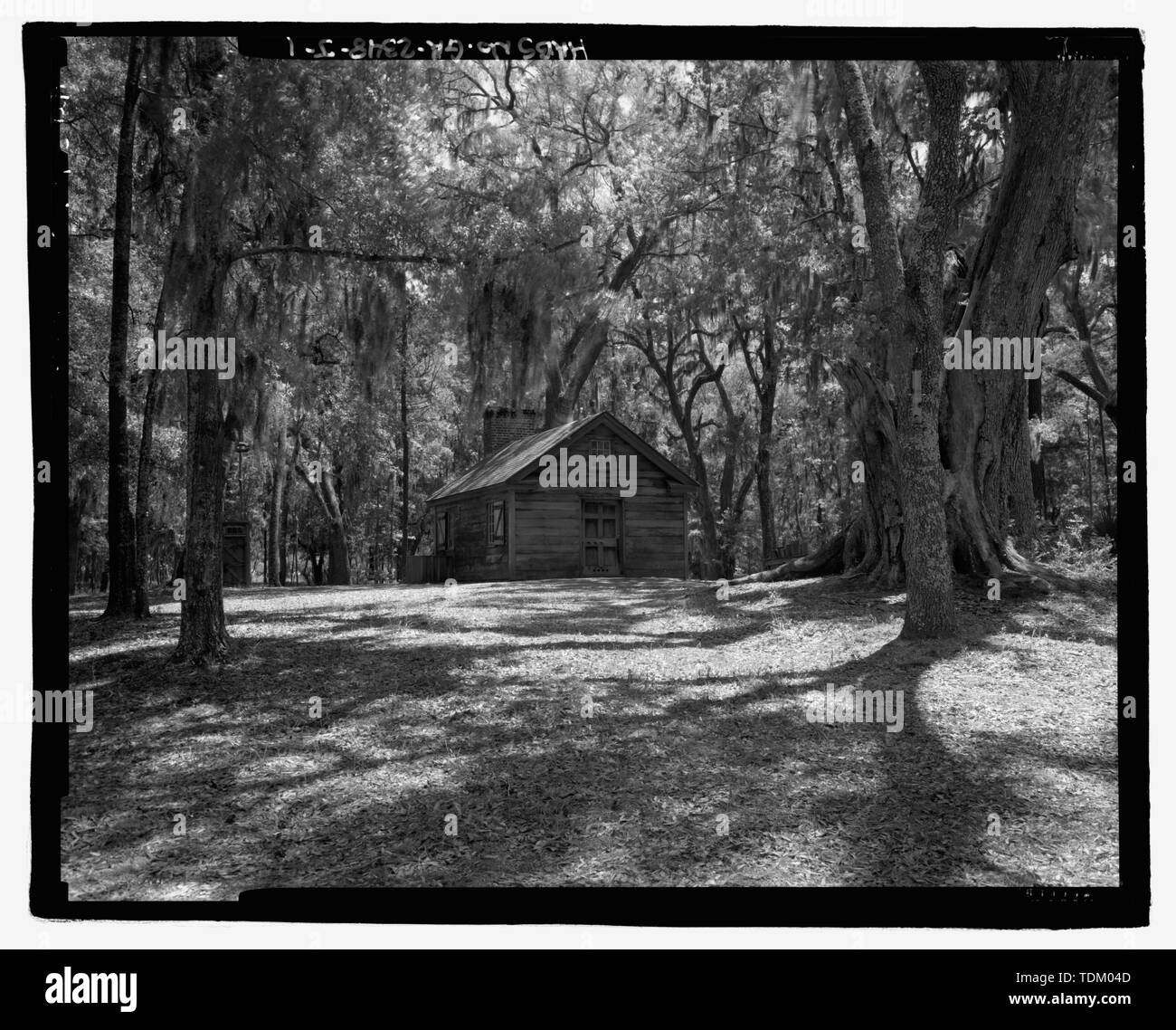 Schrägansicht der Oyster House Suche nach Südosten; grosse Eiche auf der rechten Seite - Richmond Hill Plantage, Oyster House, östlich von Richmond Hill auf Ford Hals Road, Richmond Hill, Bryan County, GA Stockfoto