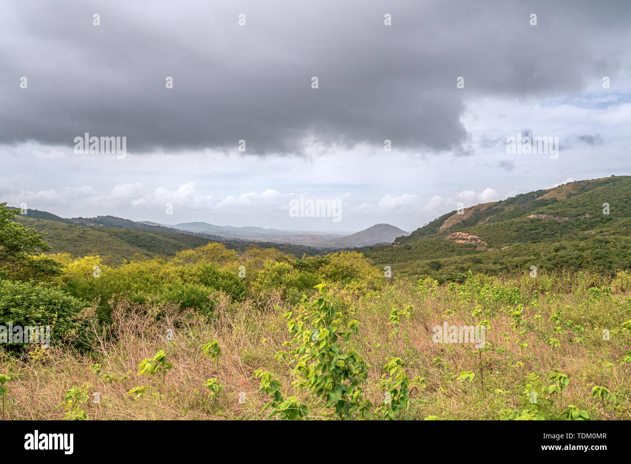 Gravatá, Pernambuco, Brasilien - Juni, 2019: Schöne Aussicht auf grünen Feldern, in der Nähe der Brücke von Serra das russas bei BR-232. Stockfoto