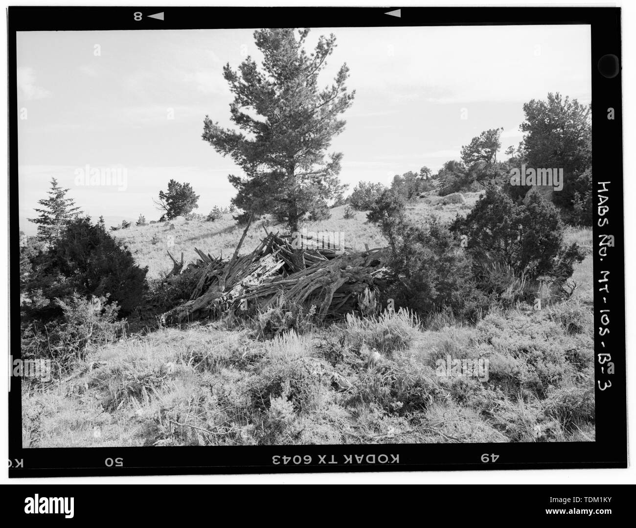 Gesamtansicht des Pentagon 2, in Fahrtrichtung Pentagon 1 Website. Blick nach Süden. - Pentagon Site, Pentagon 2, Westlich von Barry's Landing am Highway 37, Fort Smith, Big Horn County, MT. Stockfoto