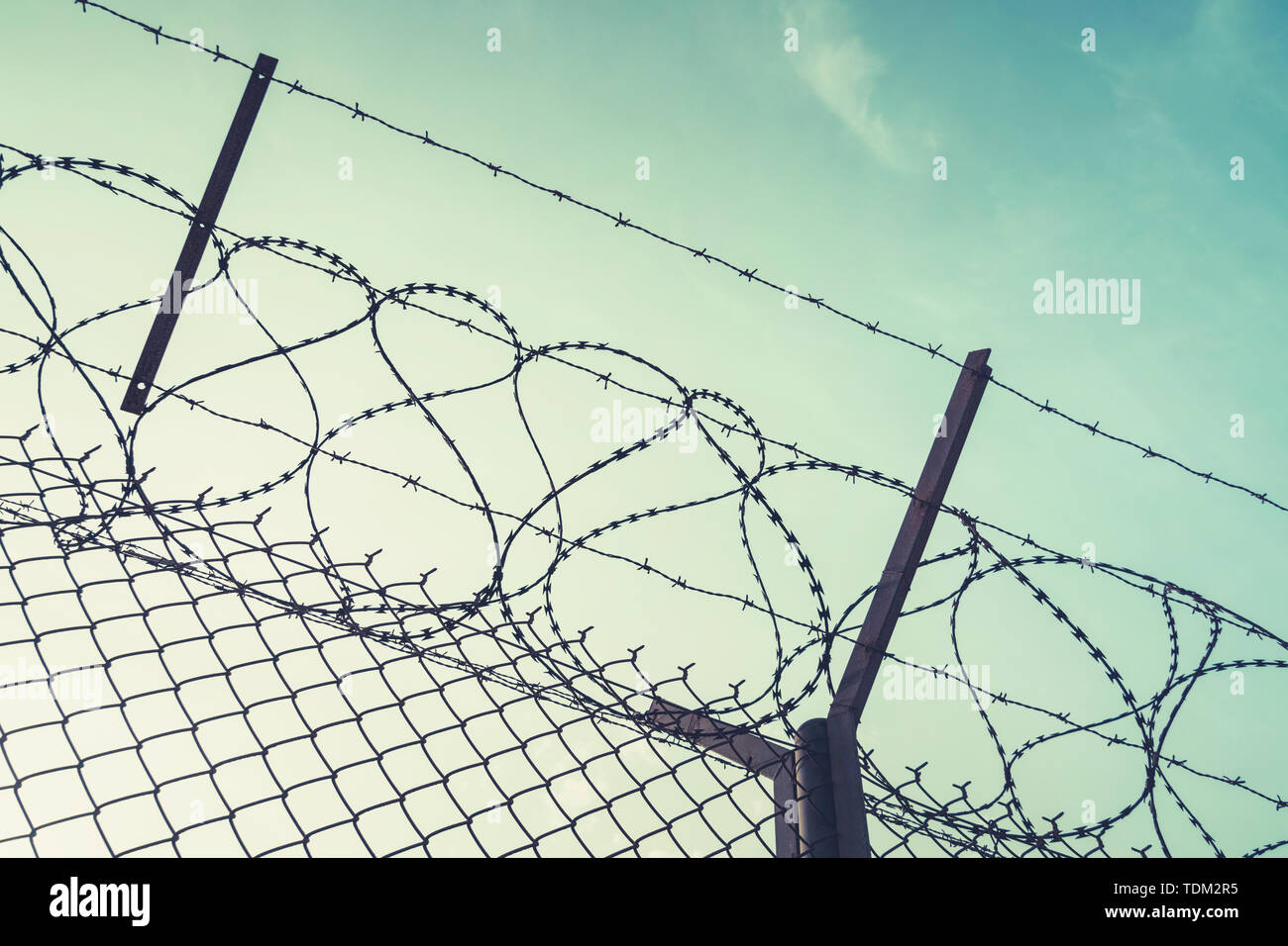 Stacheldraht aus Stahl gegen immigations. Mauer mit Stacheldraht an der Grenze von 2 Ländern. Private oder militärisches Sperrgebiet vor dem Hintergrund Stockfoto