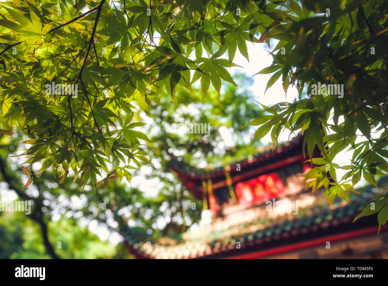 Liebe spät Pavillon, yuelu Berg, Changsha Stockfoto