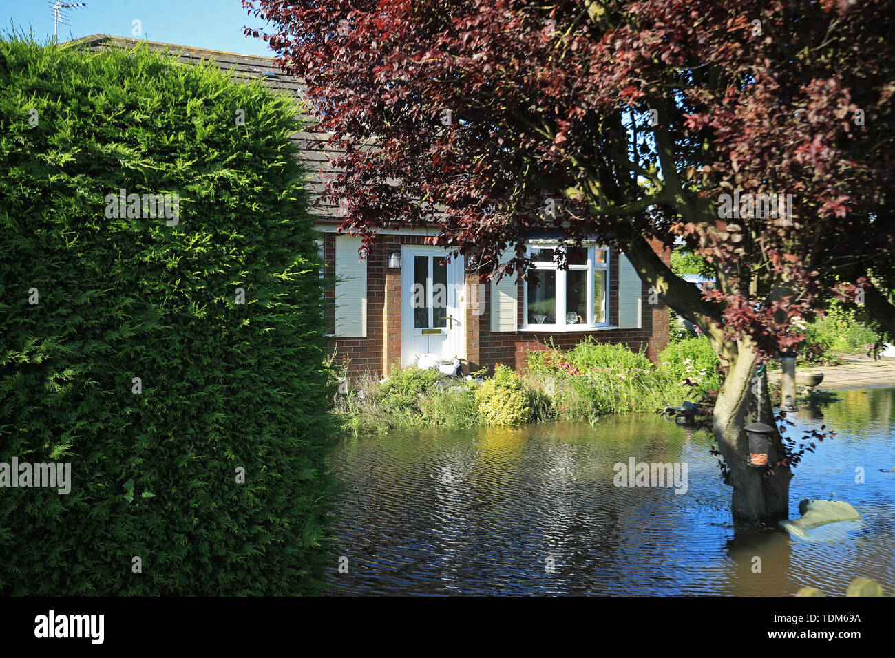 Ein Garten, der von Hochwasser in Wainfleet Allerheiligen eingetaucht, in Lincolnshire, wo Straßen und Eigenschaften nach der Stadt überschwemmt hatte mehr als zwei Monate Regen in nur zwei Tagen. Stockfoto